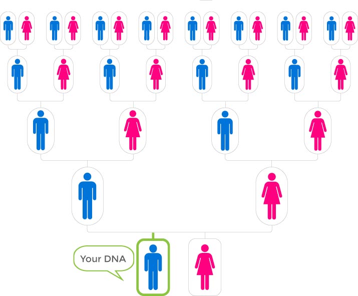 Autosomal test all ancestral lines