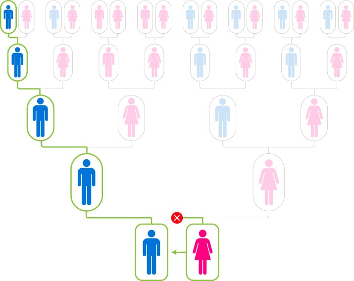 Y-DNA direct paternal line