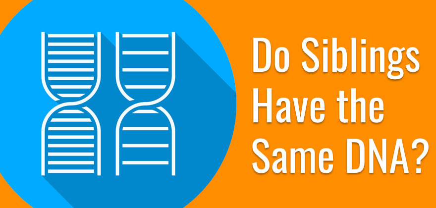 Do Siblings Have the Same DNA? Genetics, Ancestry and Ethnicity Explained