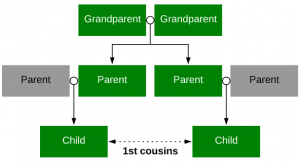 Cousin Relationships How Do You Calculate Cousins Genealogy Explained Cousin Relationships How Do You Calculate Cousins Genealogy Explained