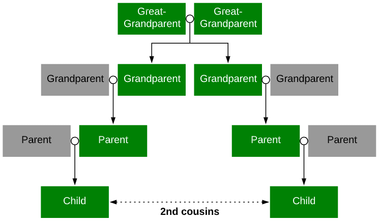 Dna Cousin Chart