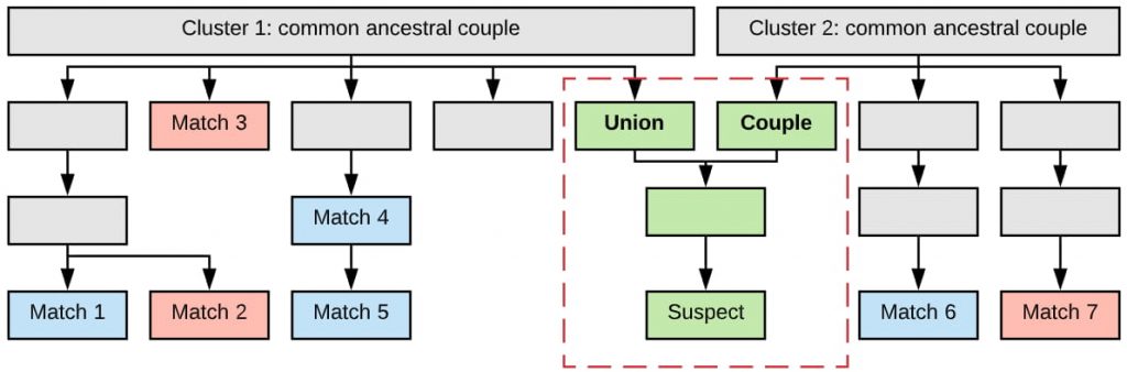 Investigative Genetic Genealogy: How Does it Work? - ISHI News