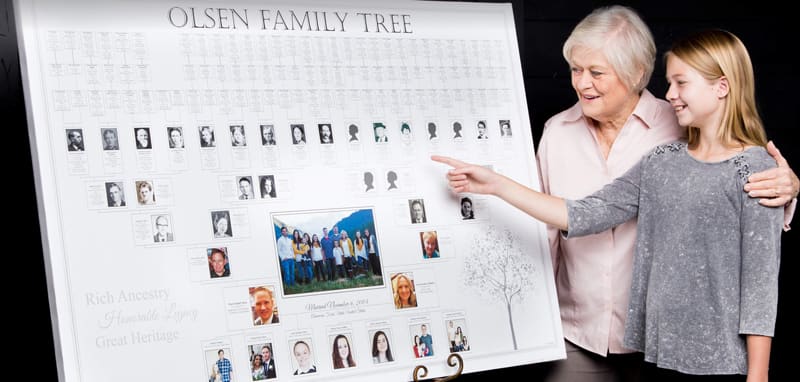 family tree masters
