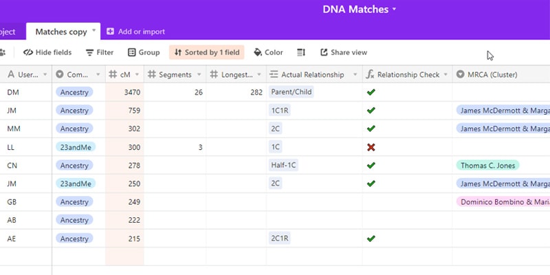 DNA match spreadhsheet
