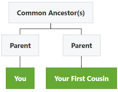 first cousins