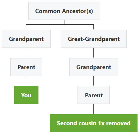 second cousin once removed