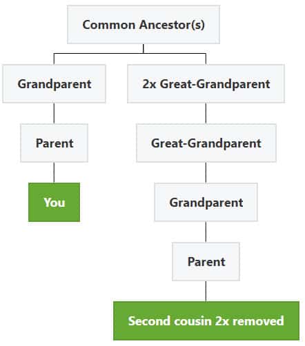 second cousin twice removed